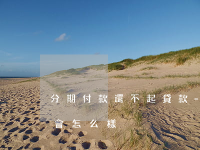 分期付款還不起貸款-分期付款還不起貸款會怎么樣