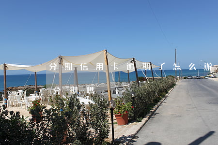 分期信用卡逾期了怎么辦(信用卡逾期了可以分期嗎)