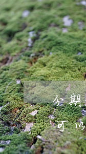 分期借款合同逾期多久可以起訴 逾期起訴后可以申請(qǐng)分期還款