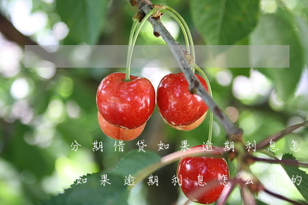 分期借贷如果逾期利息怎么算的-分期借贷如果逾期利息怎么算的呢