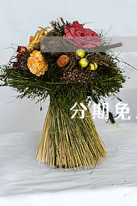 分期免息一期是多長(分期免息相當于打折嗎)