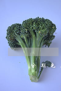 分期免息两年值不值-分期2年免息