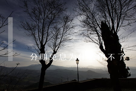 分期免息为什么用不了