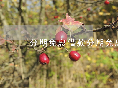 分期免息借款（分期免息貸款是真的嗎）