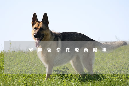 分期免息充电角磨机