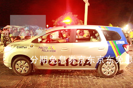 分期免息券京东(京东免息分期付款)