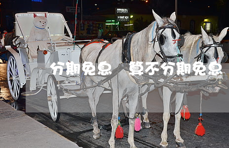 分期免息劃算不(分期免息劃算不劃算)