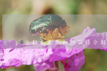 分期免息劵如何获得（分期免息券怎么获得）