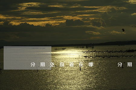 分期免息卷在哪兌換（分期免息券在哪）