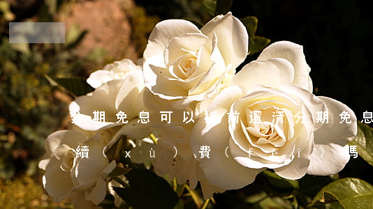 分期免息可以提前還清(分期免息提前還收手續(xù)費(fèi)嗎)