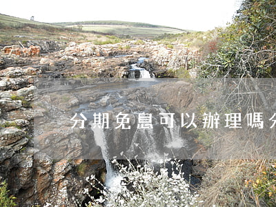 分期免息可以辦理嗎(分期免息可以提前還嗎)
