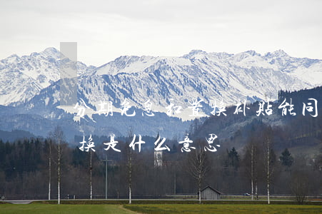 分期免息和置换补贴能同时享受吗-免息置换是什么意思