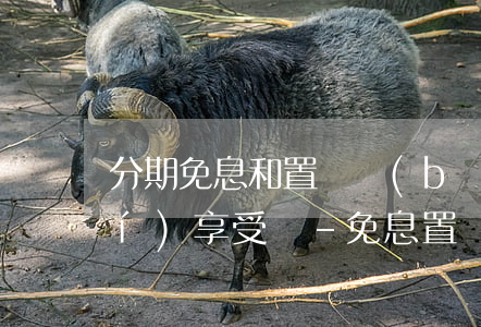 分期免息和置換補(bǔ)貼能同時(shí)享受嗎-免息置換是什么意思