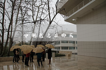分期免息在哪买
