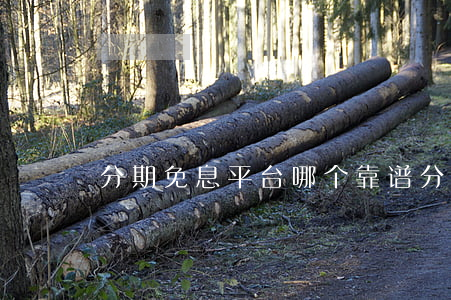 分期免息平台哪个靠谱(分期免息是真的吗)