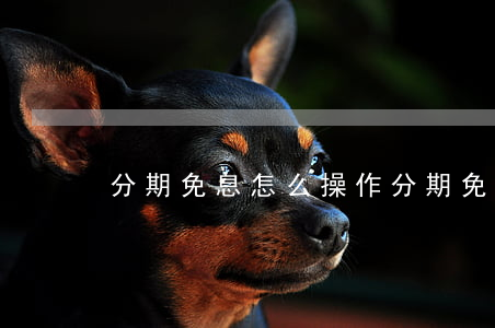 分期免息怎么操作（分期免息商家怎么申請）