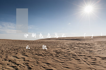 分期免息怎么樣計(jì)算-分期免息怎么還款