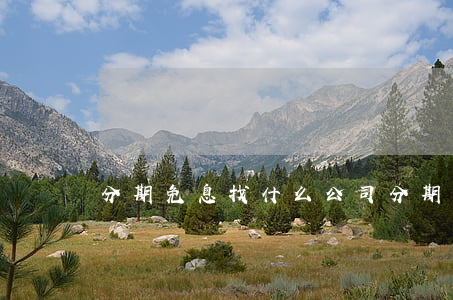 分期免息找什么公司(分期免息骗局)