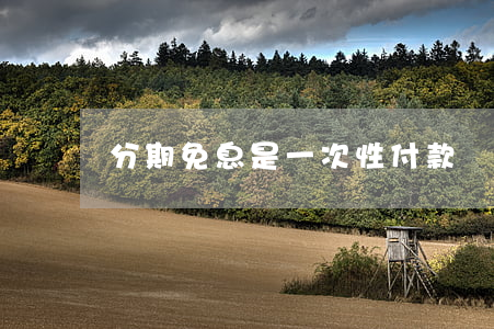 分期免息是一次性付款嗎（分期一年半免息）