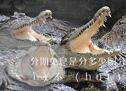 分期免息是分多少期(分期免息到底會(huì)不會(huì)多花錢)