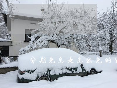 分期免息是怎么免的(分期免息真的劃算嗎)