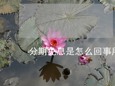 分期免息是怎么回事(所謂的分期免息)