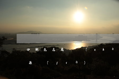 分期免息是誰設(shè)置的(分期免息是原價(jià)嗎)
