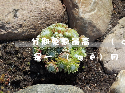 分期免息最高幾個(gè)月 分期免息一期是一個(gè)月嗎