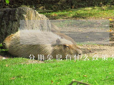分期免息有什么政策(分期免息有什么政策)