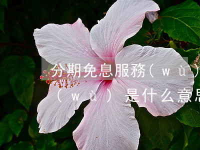 分期免息服務(wù)是什么(分期免息服務(wù)是什么意思)