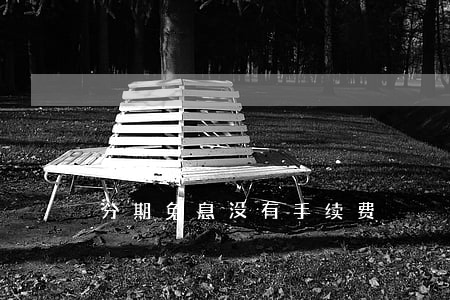 分期免息没有手续费