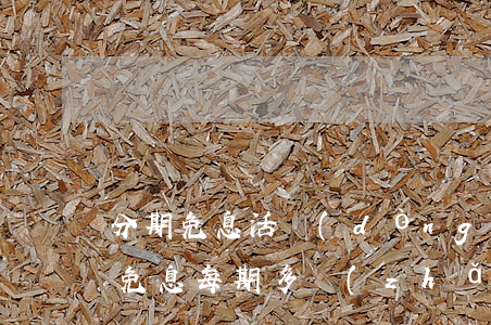 分期免息活動(dòng)多久一次-分期免息每期多長(zhǎng)時(shí)間