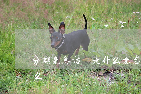 分期免息活動是什么意思（分期免息活動是什么）