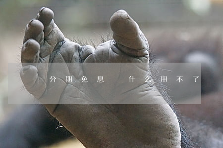 分期免息為什么用不了