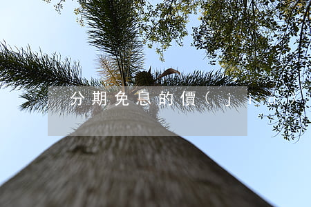 分期免息的價(jià)格(分期免息劃算嗎)