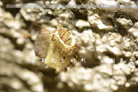 分期免息的影響(分期免息會影響個人征信嗎)