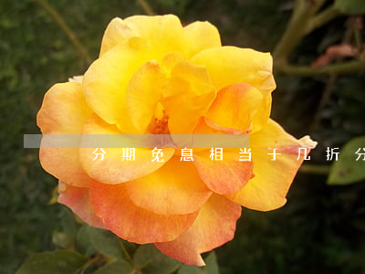 分期免息相当于几折(分期免息每期多长时间)