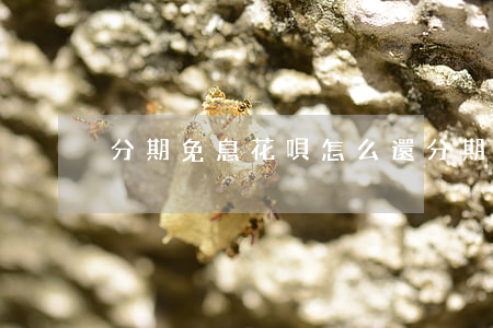 分期免息花唄怎么還(分期免息花唄怎么還的)