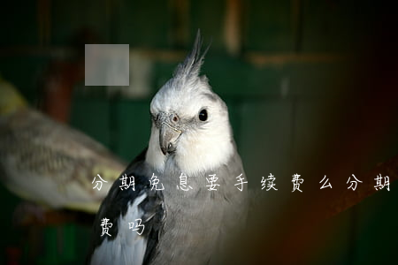 分期免息要手续费么 分期付款免息还要手续费吗