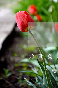 分期免息要提前還嗎-免息的分期付款提前還款要收手續(xù)費嗎