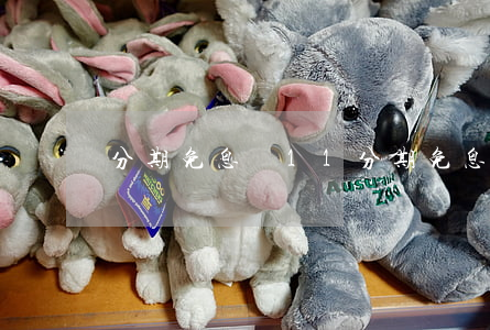 分期免息買11(分期免息買手機)