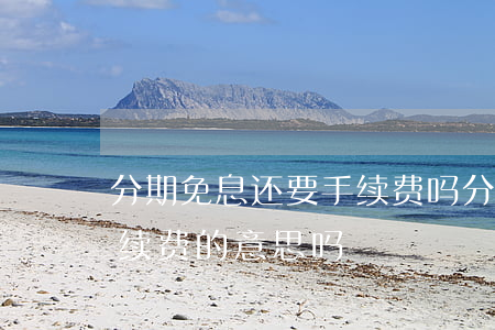 分期免息还要手续费吗(分期免息是不需要手续费的意思吗)