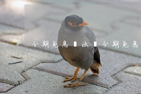 分期免息違法嗎(分期免息違法嗎怎么處理)