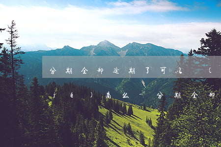 分期全部逾期了可以進(jìn)行協(xié)商么-分期全部逾期了可以進(jìn)行協(xié)商么嗎