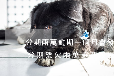 分期兩萬逾期一個月會發(fā)律師函嗎(分期樂欠兩萬逾期幾個月了發(fā)律師函是真的嗎)