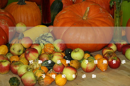 分期卡逾期屬于信用卡逾期嗎-分期卡逾期屬于信用卡逾期嗎