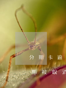 分期卡逾期屬于信用卡逾期嗎（信用卡逾期分期被取消）