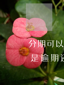 分期可以逾期还款吗(以前分期付款还完了,但是逾期,还可以分吗)