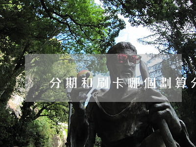 分期和刷卡哪個劃算（分期卡和信用卡哪個好）