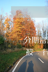 分期富逾期了就催收一天不催收了-分期富被強行下款后還款了